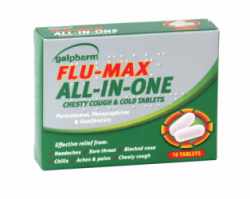 GALPHARM FLU-MAX ALL-IN-ONE 16'S TAB X10 (NON RETURNABLE)