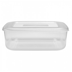 FOOD CONTAINER RECTANGLE CLEAR 3L 250MMX180MMX90MM